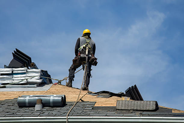 Professional Roof Replacement technician working in Meadows Of Dan, VA